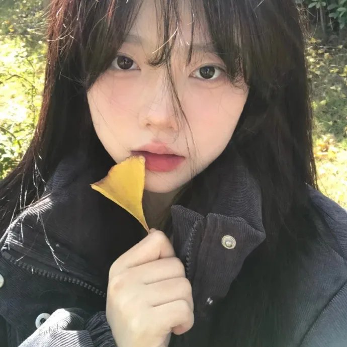 疯狂的狐狸